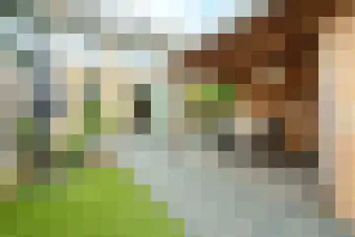 Kruyderlaan 20 Nieuwegein thumbnail 27