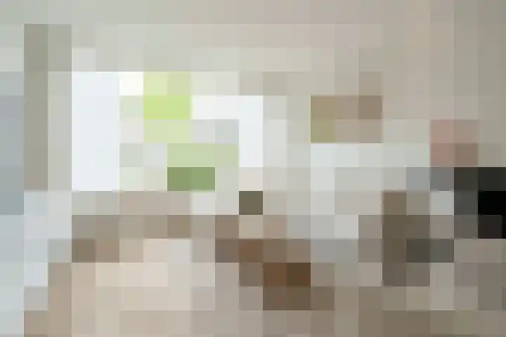 Kruyderlaan 20 Nieuwegein thumbnail 6