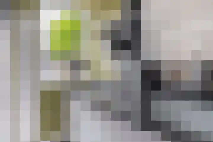 Kruyderlaan 84 Nieuwegein thumbnail 20