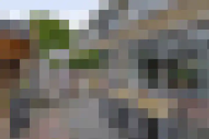 Kruyderlaan 84 Nieuwegein thumbnail 26