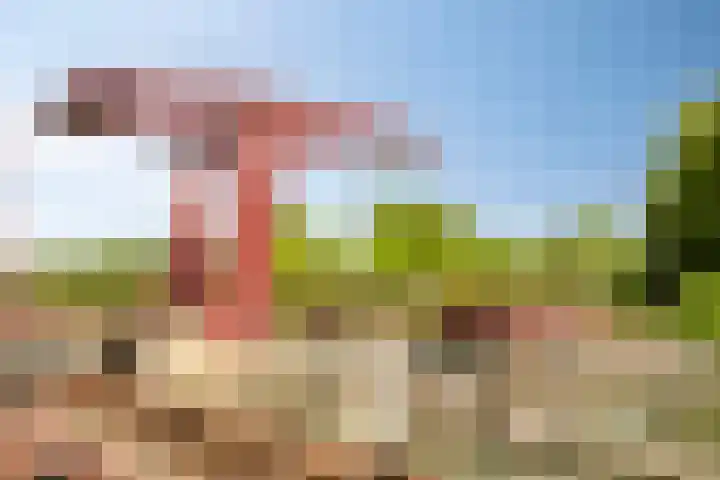 Kruyderlaan 84 Nieuwegein thumbnail 47