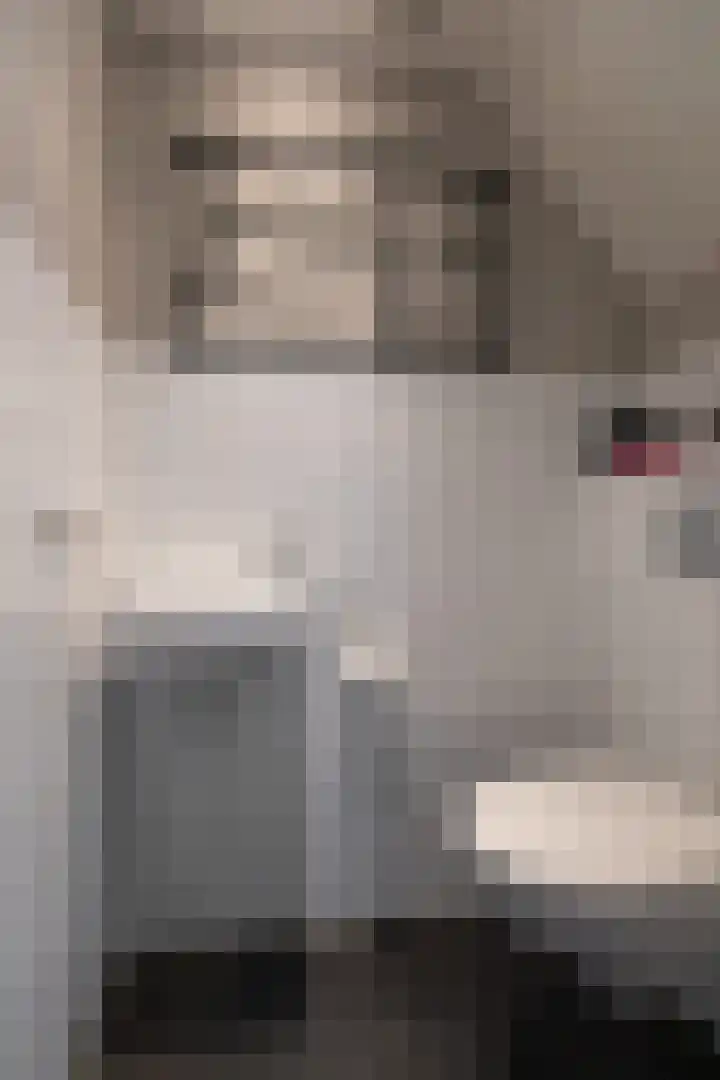 Kruysakker 20 Drempt thumbnail 16