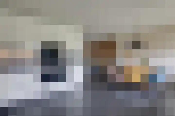 Kruysakker 20 Drempt thumbnail 29