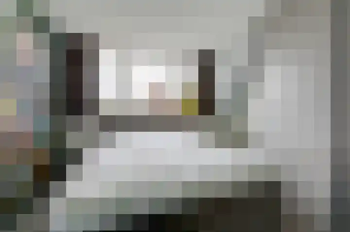 Kruysakker 20 Drempt thumbnail 34