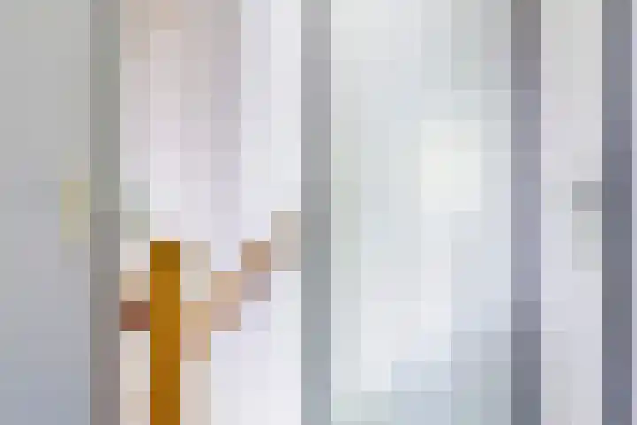 Kruyssteelaan 8 Usquert thumbnail 18