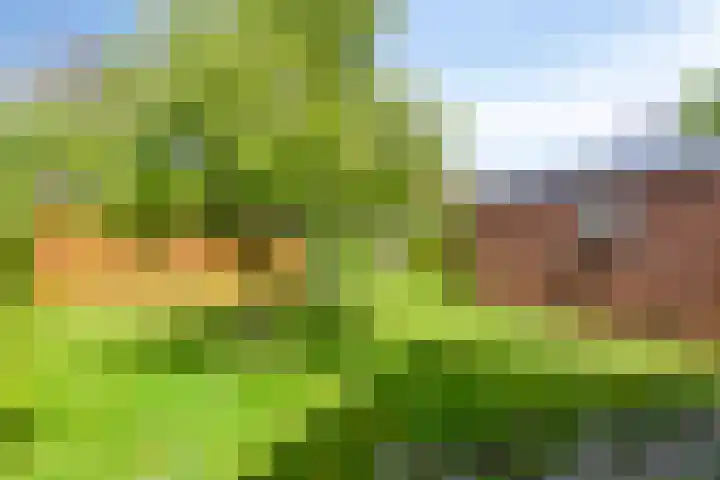 Kruyssteelaan 8 Usquert thumbnail 28