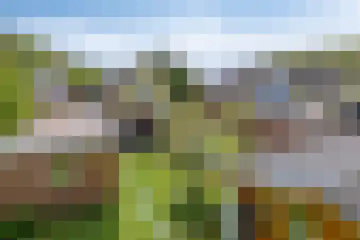 Kruyssteelaan 8 Usquert thumbnail 30