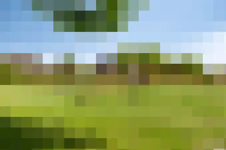 Kruyssteelaan 8 Usquert thumbnail 32