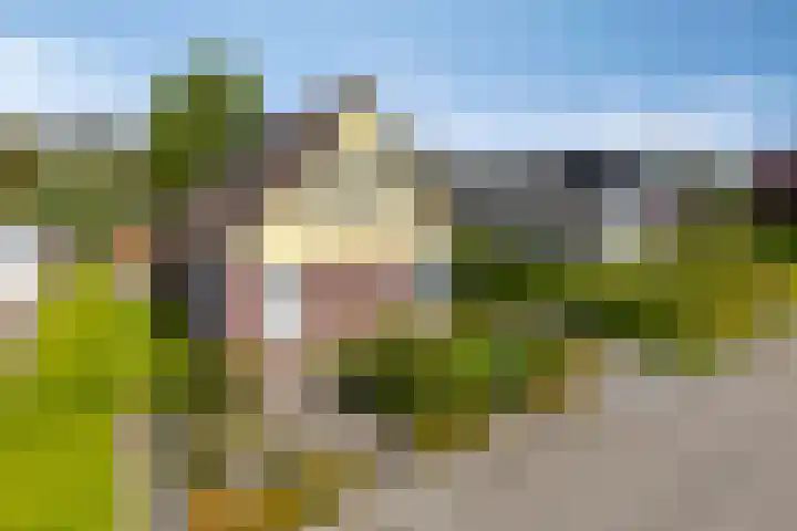 Kruyssteelaan 8 Usquert thumbnail 4