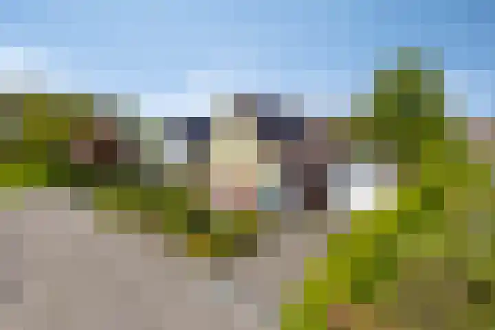 Kruyssteelaan 8 Usquert thumbnail 6