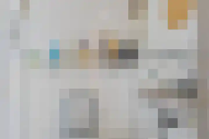 Kruyssteelaan 8 Usquert thumbnail 9
