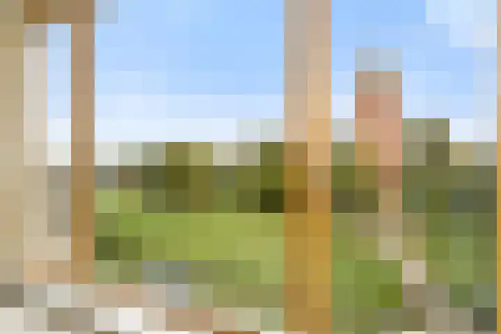 Kruysweerstraat 249 Amsterdam thumbnail 9