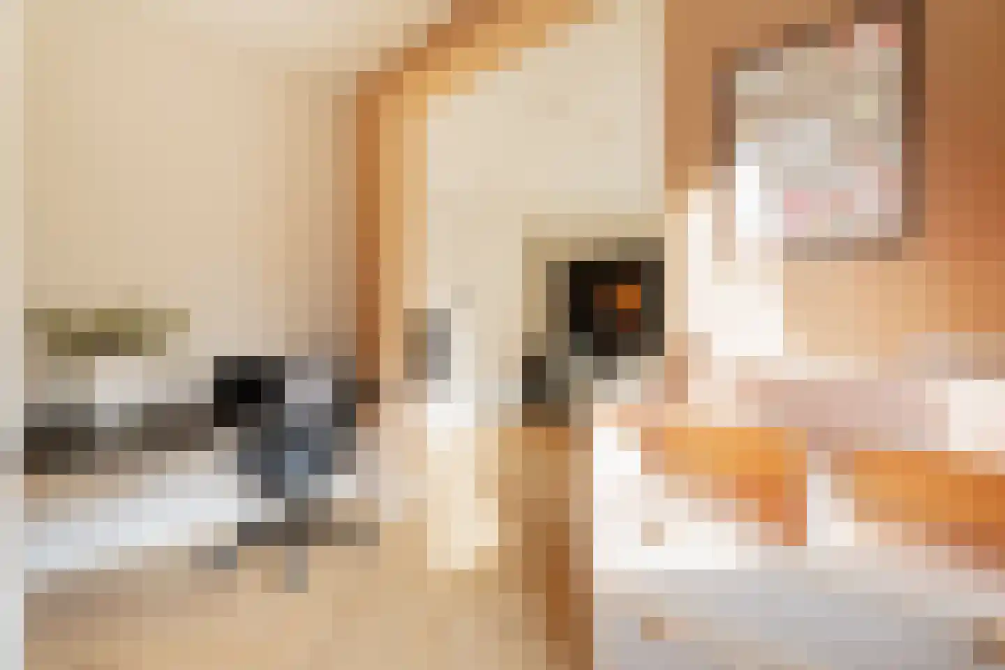 Kruysweerstraat 271 Amsterdam thumbnail 4