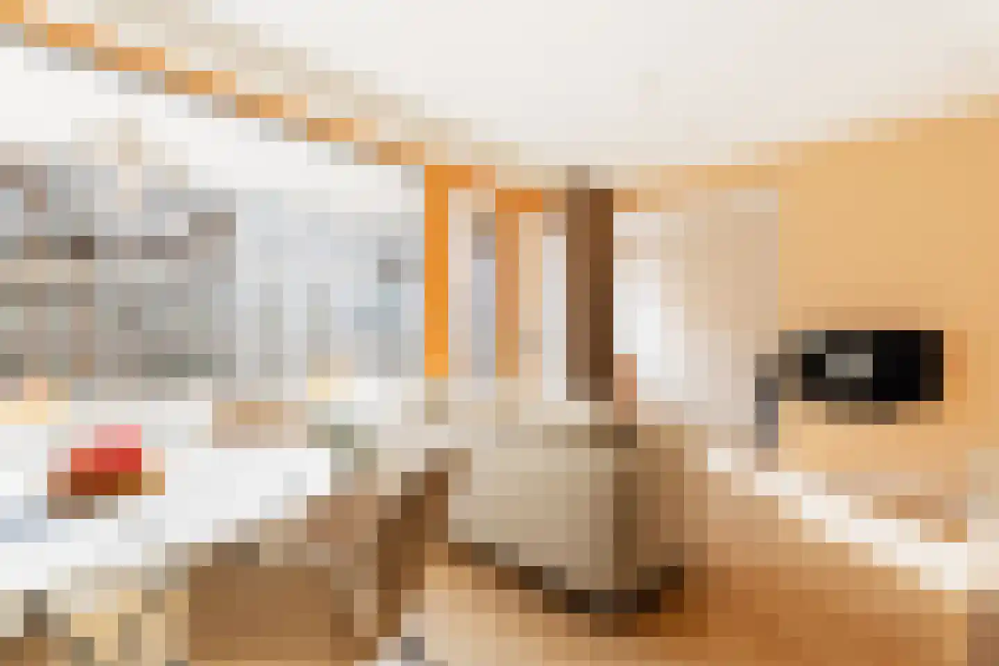 Kruysweerstraat 271 Amsterdam thumbnail 9