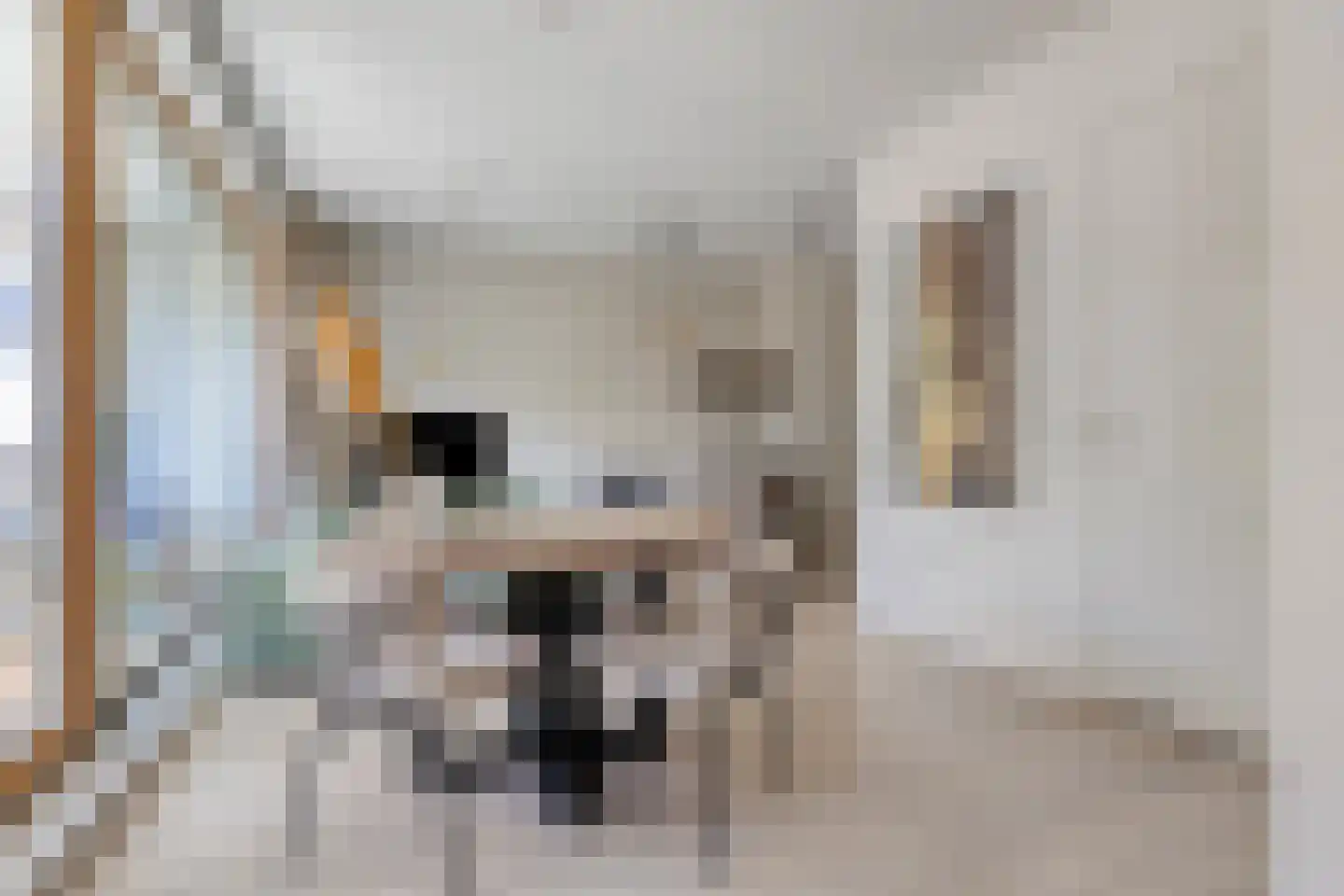 Kruysweerstraat 315 Amsterdam thumbnail 13