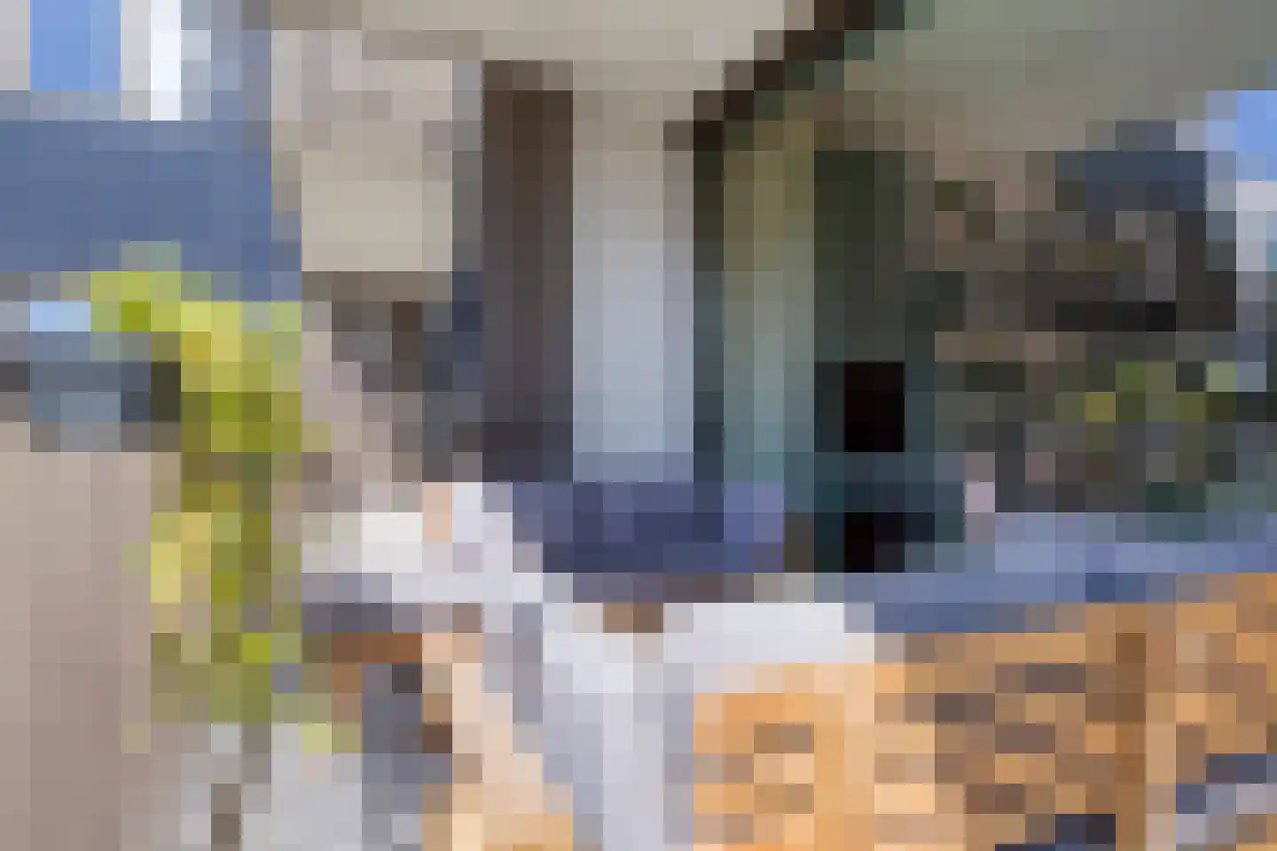 Kruysweerstraat 315 Amsterdam thumbnail 18
