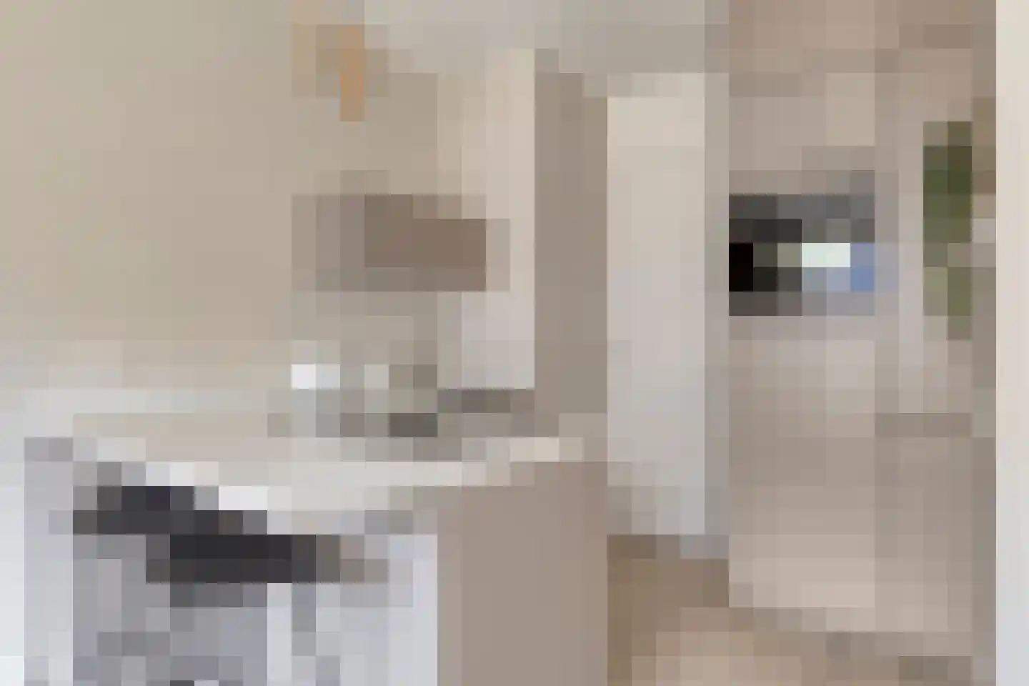 Kruysweerstraat 315 Amsterdam thumbnail 21