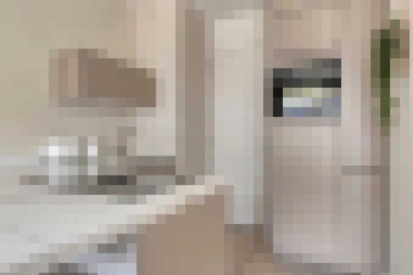 Kruysweerstraat 315 Amsterdam thumbnail 23
