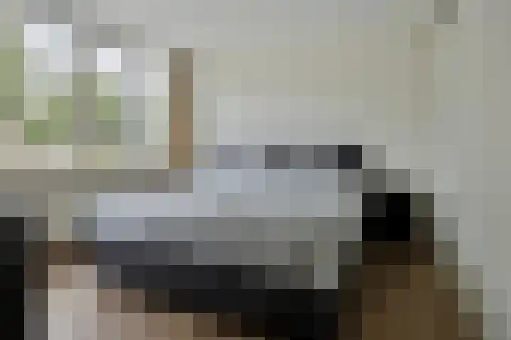Kruzebrink 100 Heino thumbnail 18