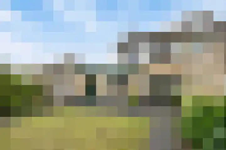 Kruzebrink 100 Heino thumbnail 31