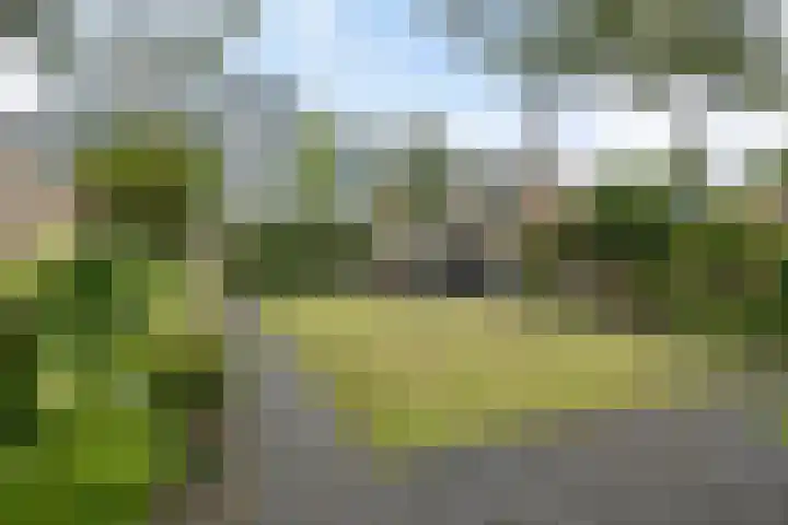 Kruzebrink 100 Heino thumbnail 32