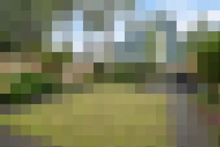 Kruzebrink 100 Heino thumbnail 33