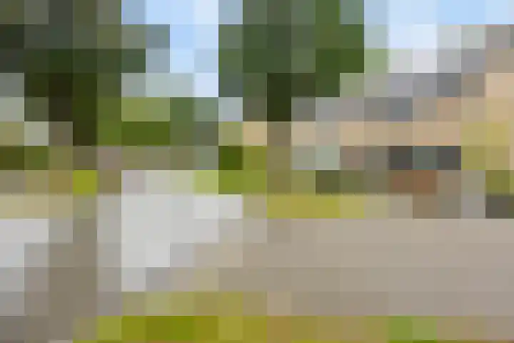 Kruzebrink 100 Heino thumbnail 37