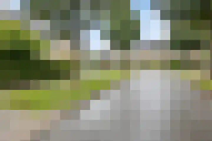 Kruzebrink 100 Heino thumbnail 38