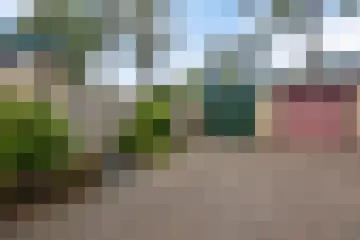 Kruzebrink 100 Heino thumbnail 4