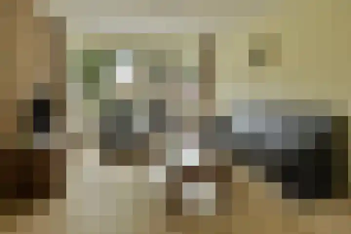 Kruzebrink 100 Heino thumbnail 9