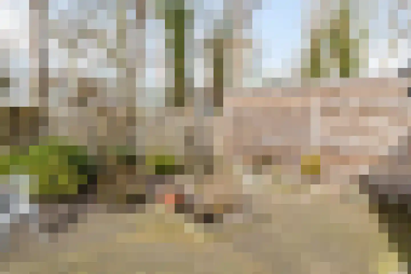Kruzebrink 118 Heino thumbnail 29