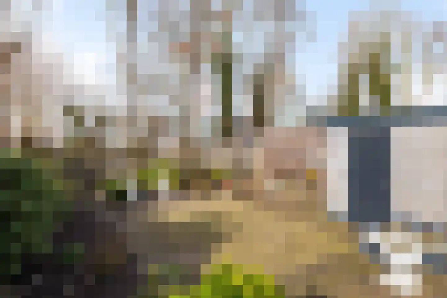Kruzebrink 118 Heino thumbnail 31