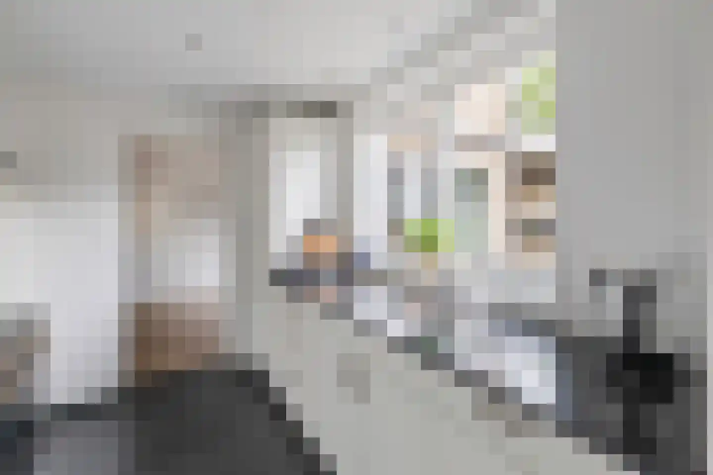 Kruzebrink 122 Heino thumbnail 16