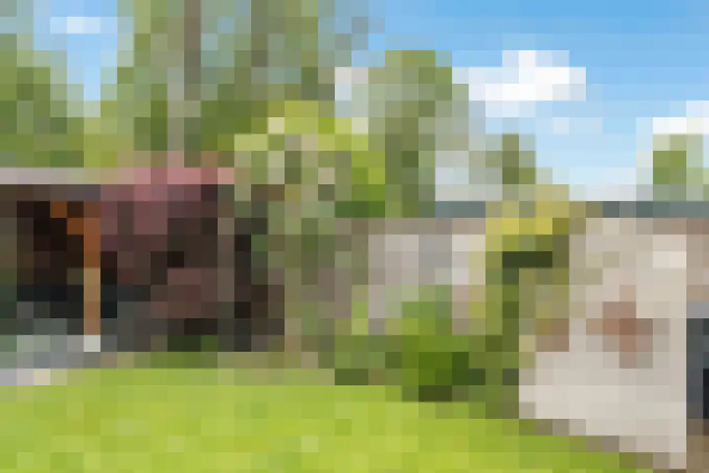 Kruzebrink 122 Heino thumbnail 32
