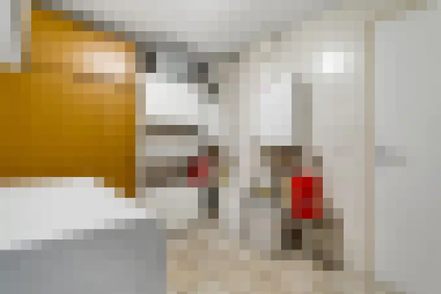 Kryptonstraat 25 Rijssen thumbnail 44