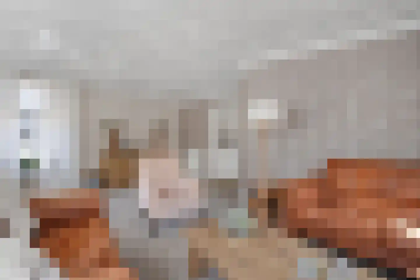 Kryptonstraat 6 Rijssen thumbnail 26