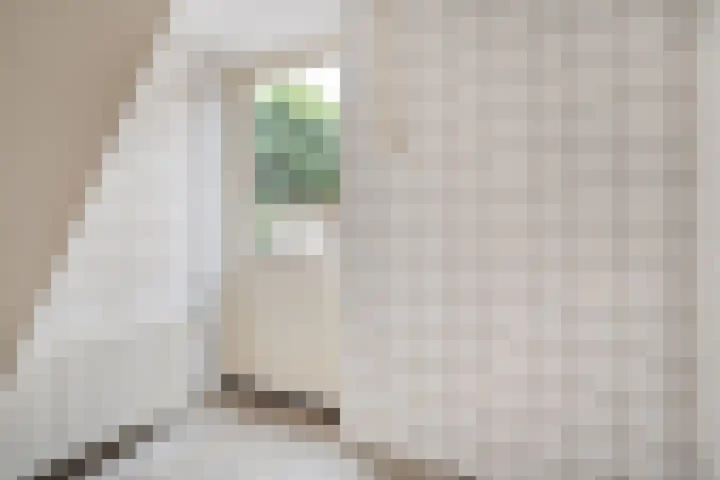 Kryptonstraat 6 Rijssen thumbnail 56