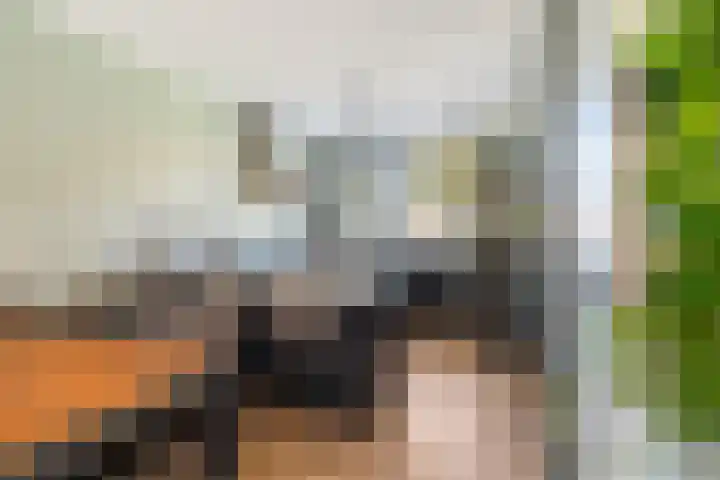 Kubbeplantsoen 10 Hoogvliet Rotterdam thumbnail 12