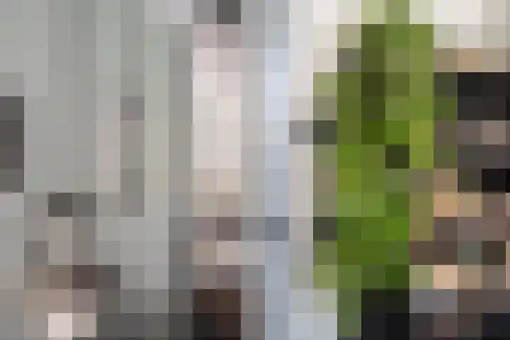 Kubbeplantsoen 10 Hoogvliet Rotterdam thumbnail 26