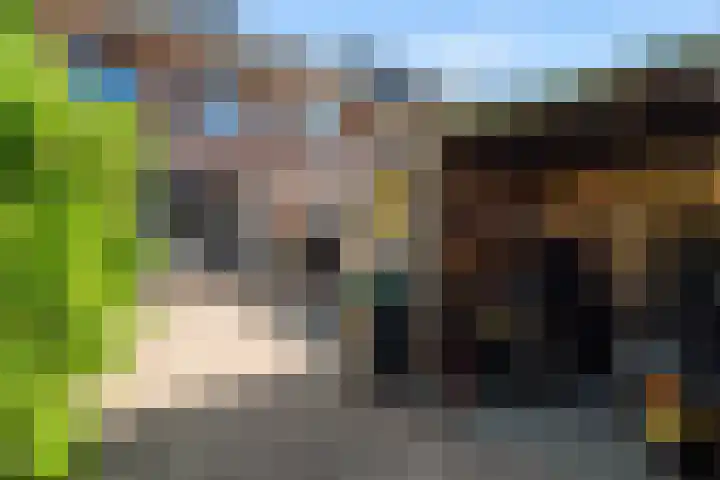 Kubbeplantsoen 10 Hoogvliet Rotterdam thumbnail 32