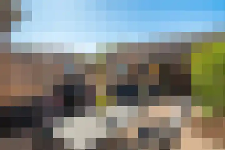 Kubbeplantsoen 10 Hoogvliet Rotterdam thumbnail 5