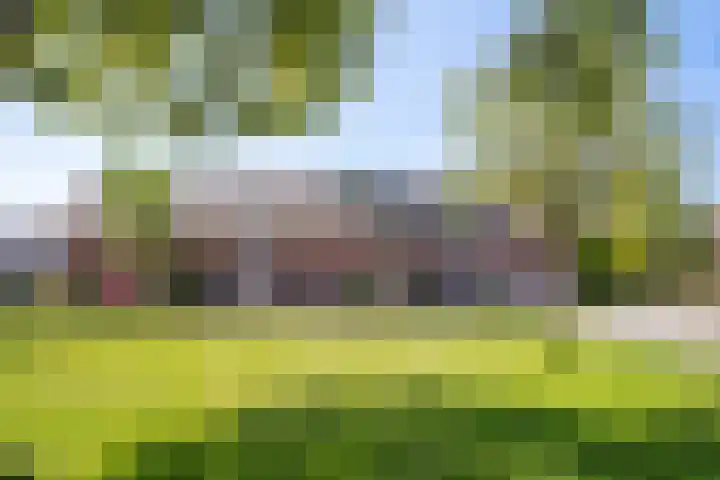 Kubbeplantsoen 10 Hoogvliet Rotterdam thumbnail 69