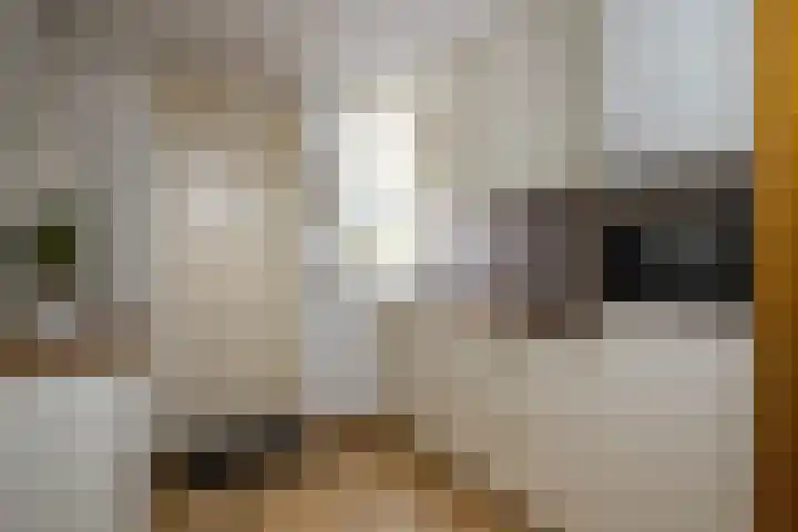Kubboot 13 Bunschoten-Spakenburg thumbnail 6