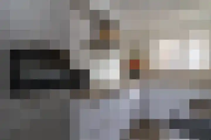 Kubboot 20 Bunschoten-Spakenburg thumbnail 10