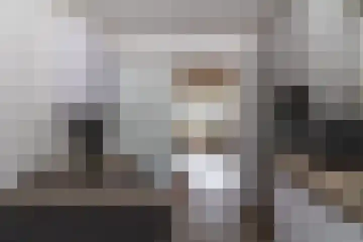 Kubboot 20 Bunschoten-Spakenburg thumbnail 11