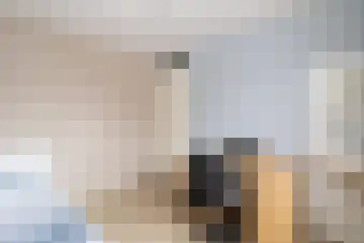 Kubboot 20 Bunschoten-Spakenburg thumbnail 17