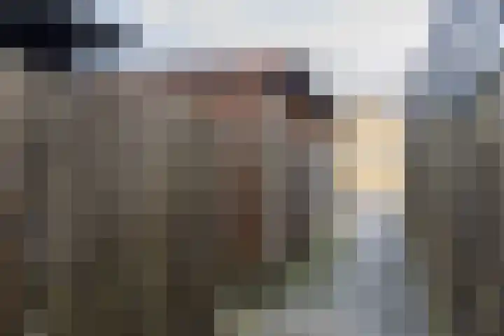Kubboot 20 Bunschoten-Spakenburg thumbnail 34