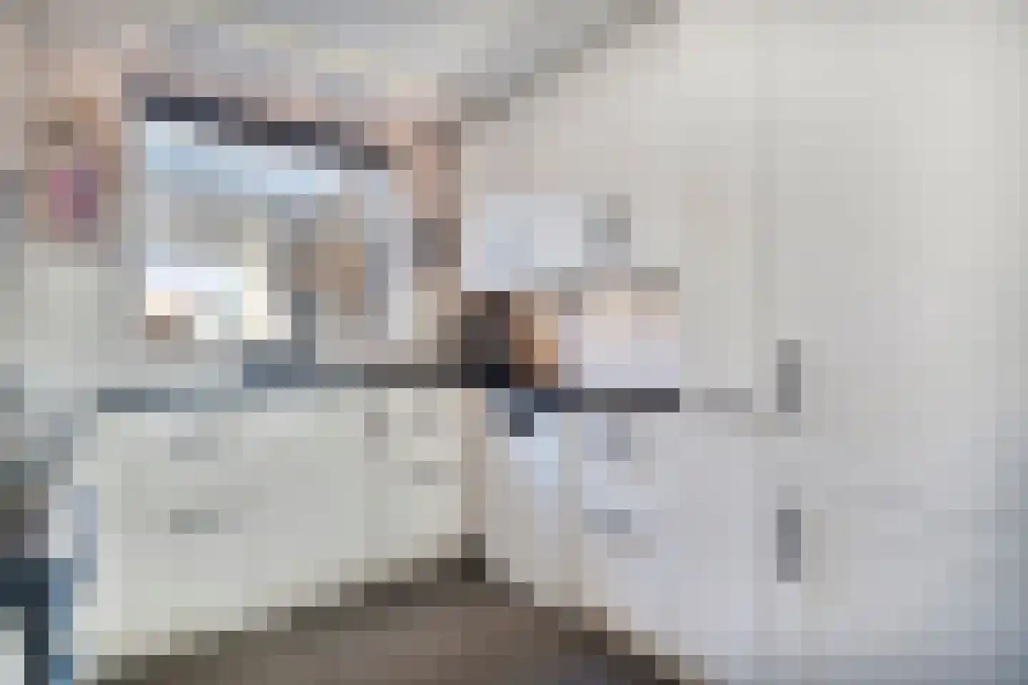Kubboot 22 Bunschoten-Spakenburg thumbnail 14