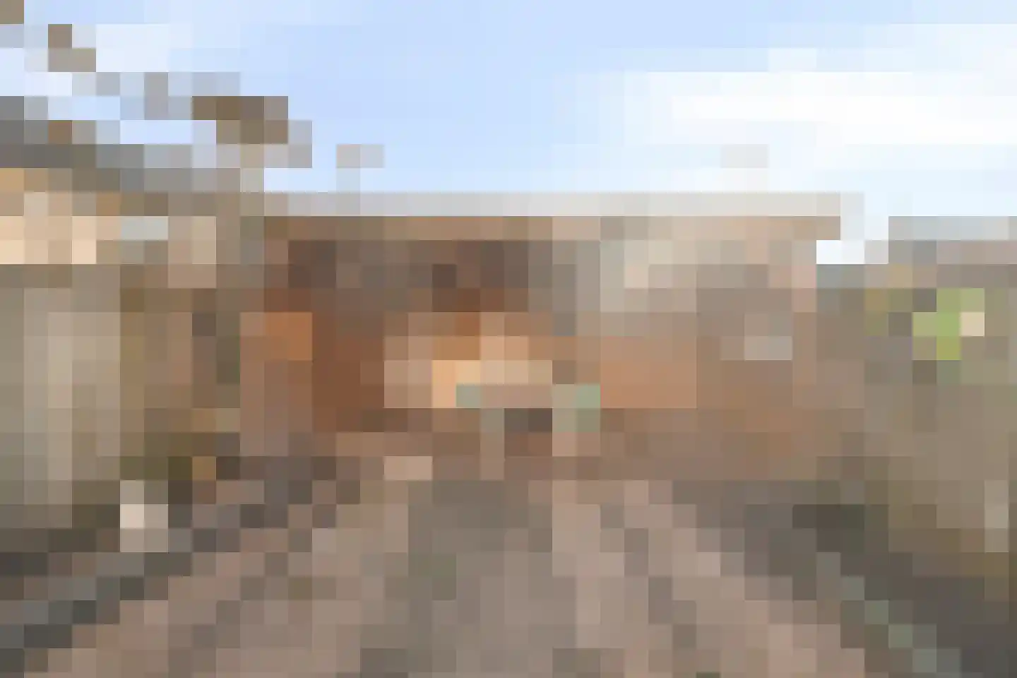 Kubboot 22 Bunschoten-Spakenburg thumbnail 27