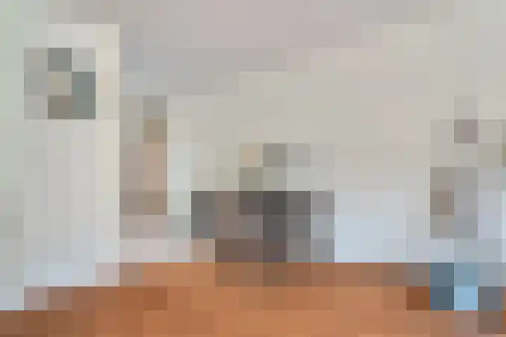 Kubboot 7 Bunschoten-Spakenburg thumbnail 12